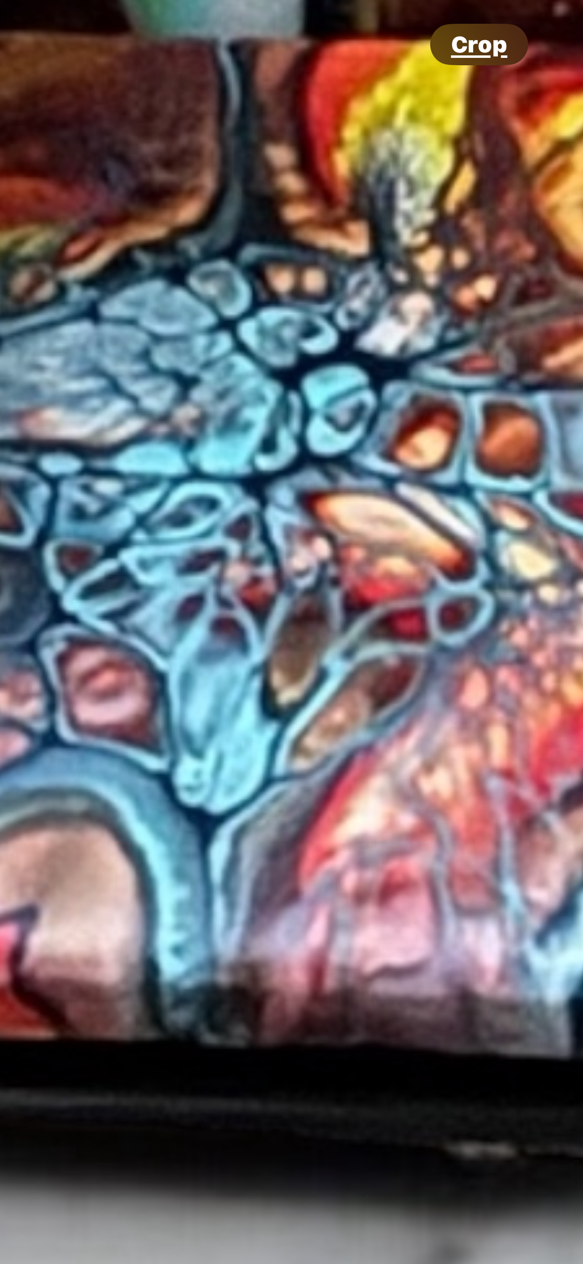 Hand painted coasters